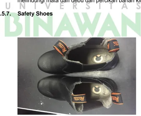 Gambar 11. Safety Shoes 