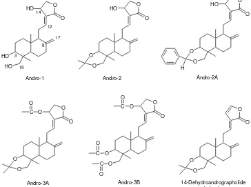 Fig 1. Chemical structures of  andrographolide and derivatives 