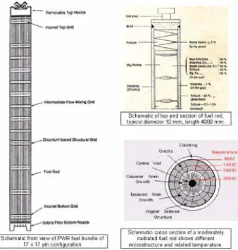 Fig 1. section of top end rod, and (c) Different Radial Zones of irradiated microstructure and duty temperature  Diagram of typical PWR Fuel (a) Fuel bundle of 17 x 17 rods configuration, (b) Longitudinal  