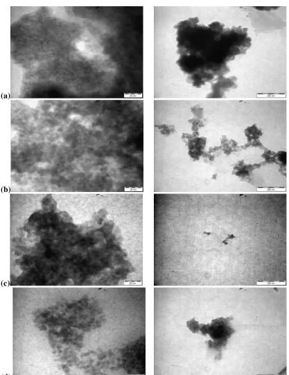 Fig 5. TEM micrographs of the as-prepared nanocomposites (CdS: diol vanilin) w/w at various mass 