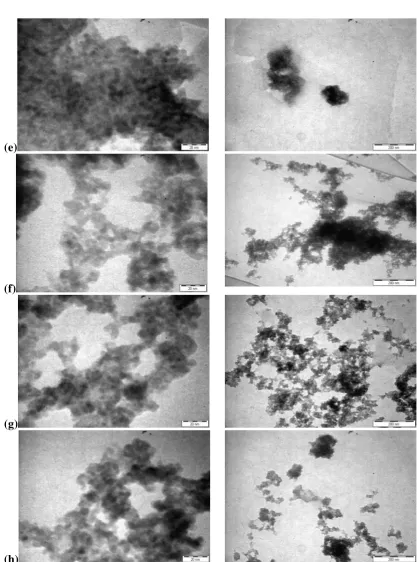 Fig 5 (cont.). TEM micrographs of the as-prepared nanocomposites (CdS: diol vanilin) w/w at various mass 