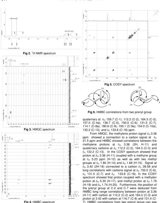 Fig 6. HMBC correlations from two prenyl group 
