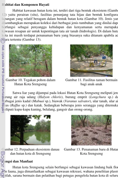 Gambar 10. Tegakan pohon dalam 