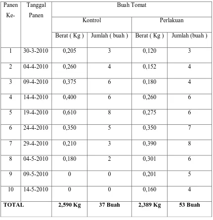 Tabel 4.2. Perbandingan Produksi Tanaman Tomat Hasil Penyambungan Dengan Kontrol Tanaman Tomat 