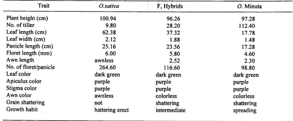 Tabel I. Pro.duction of hybrids and backcross. progenies from a cross between new plant type (NPT) rice female, O.sativa (IR65600-81-5-3-2) and O