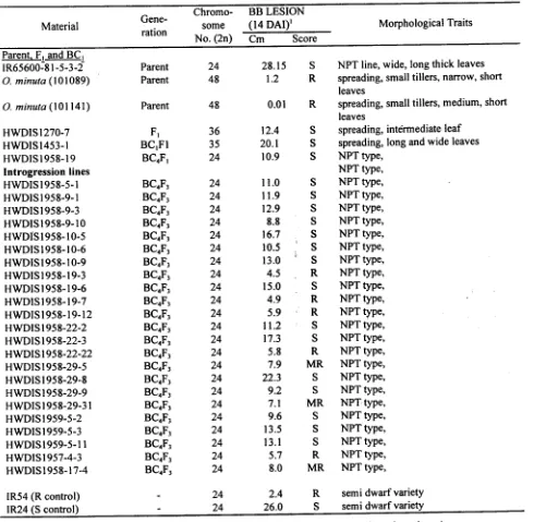 Table 5. Reaction of BC4F3 lines derived from a cross between NPT rice, O.savita (IR65600-8]-5-3-2) and O