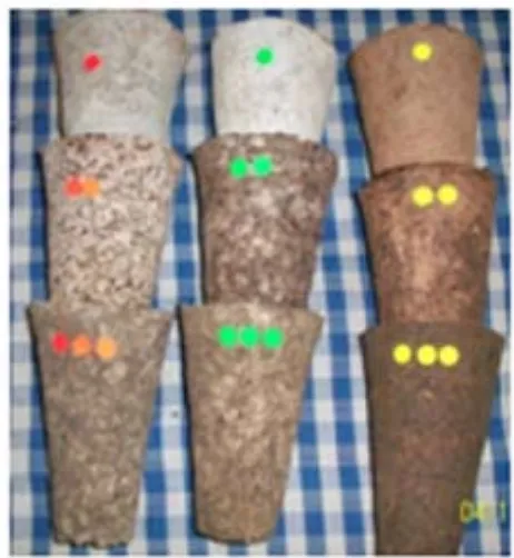 Gambar 2. Produk pot organik dengan bahan dasar organik dengan perekat tanin dan tapioka (merah = tanpa perekat; hijau = perekat kanji; kuning= perekat tanin; lingkaran 1= kertas koran 100%; lingkaran 2 = kertas koran + serasah 50:50 (v/v); lingkaran 3 = kertas koran + kompos (50:50 v/v )