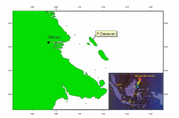 Gambar 1. Lokasi penelitian penyu hijau (Chelonia mydas) di Pulau Derawan, Berau-Kalimantan.