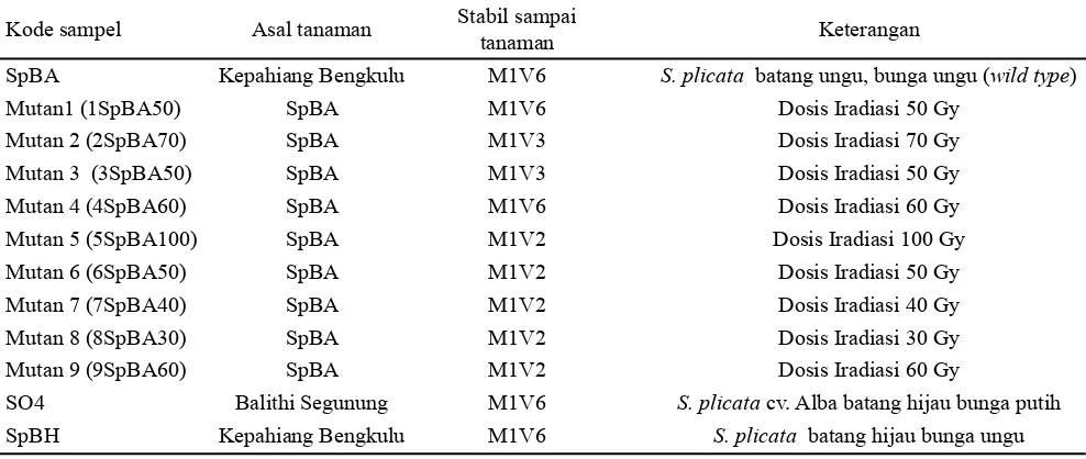 Tabel 1.  Daftar mutan anggrek S. plicata dan pembandingnya yang dikarakterisasi secara morfologi dan molekuler (ISSR)