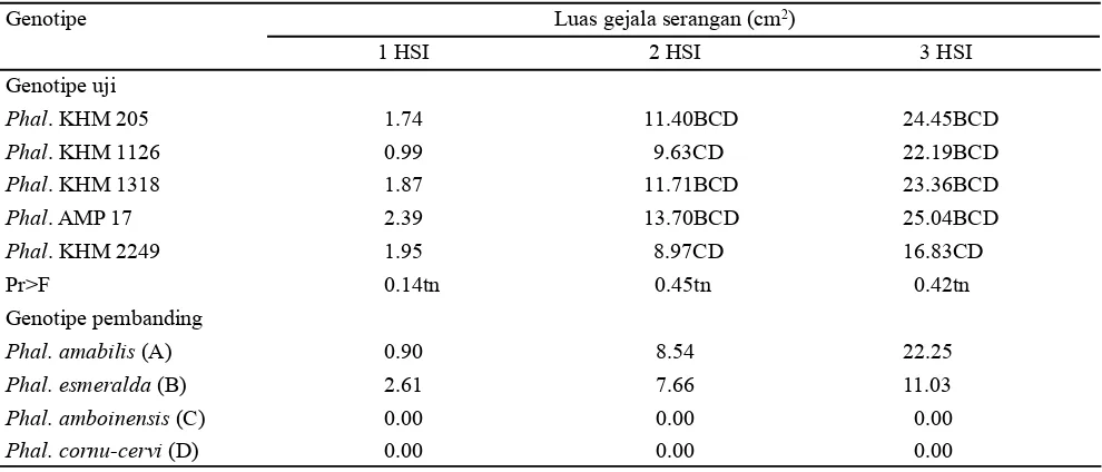 Tabel 1. Luas gejala serangan yang disebabkan oleh D. dadantii pada Phalaenopsis hibrida setelah diinokulasi dan dibandingkan dengan genotipe pembanding