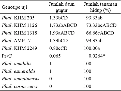 Tabel 3. Jumlah daun gugur dan jumlah tanaman hidup pada genotipe Phalaenopsis hibrida dibandingkan dengan genotipe pembanding