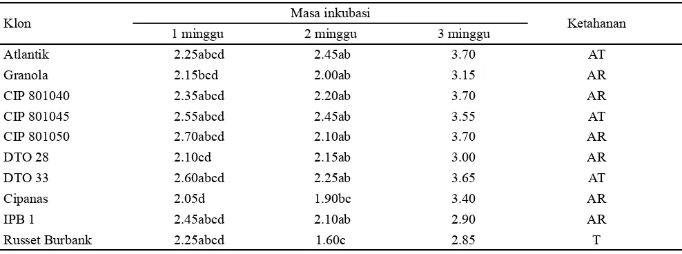 Gambar 4.  Gejala busuk kering akibat infeksi Fusarium solani.  (A) Irisan melintang umbi terinfeksi; (B) Umbi tanpa infeksi (skor 1); (C) Umbi terinfeksi ringan (skor 2); (D) Umbi terinfeksi sedang (skor 3); (E) Umbi terinfeksi parah (skor 4); Skala 1 : 4