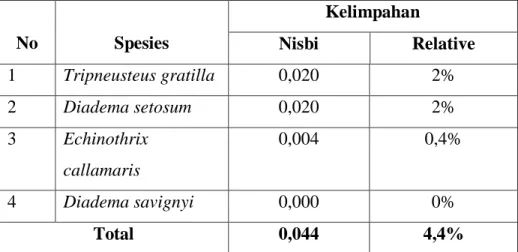 Tabel 9. Kelimpahan Jenis Bulu Babi (Echinoidea) pada Transek 8          