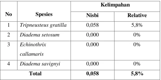 Tabel  11.  Kelimpahan  Jenis  Bulu  Babi  (Echinoidea)  pada  Transek  10  No  Spesies  Kelimpahan  Nisbi  Relative  1  Tripneusteus gratilla  0,058  5,8%  2  Diadema setosum  0,000  0%  3  Echinothrix  callamaris  0,000  0%  4  Diadema savignyi  0,000  0