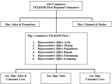 Gambar 5.1. Struktur Organisasi DTF Unit Commerce FLEXI Reg. Sumatera 