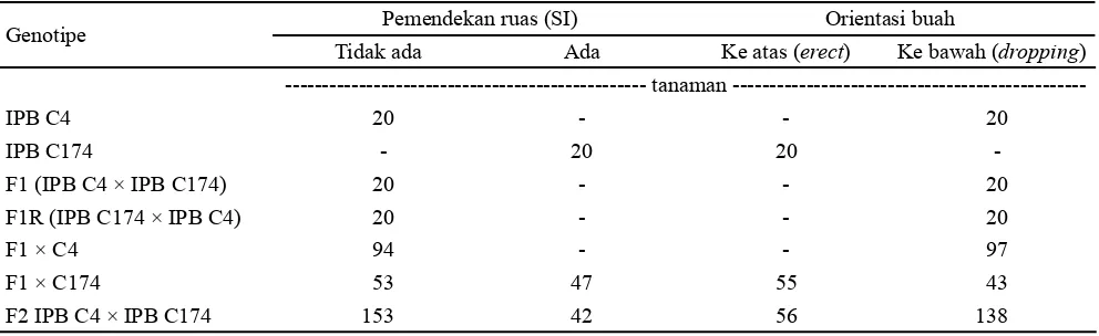 Tabel 1. Jumlah tanaman hasil pengamatan pada karakter pemendekan ruas dan orientasi buah cabai beberapa populasi hasil persilangan IPB C4 × IPB C174