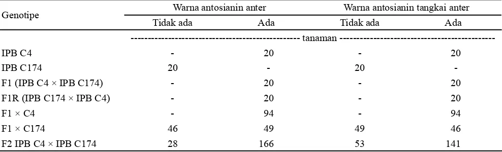 Tabel 2. Jumlah tanaman hasil pengamatan pada karakter warna antosianin anter dan warna antosianin tangkai anter cabai beberapa populasi hasil persilangan IPB C4 × IPB C174