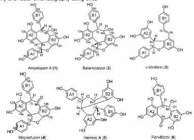 Fig 1. The structure of resveratrol dimers from stem bark of H. gregaria 