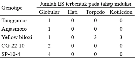 Tabel 3. Pengaruh media induksi dan genotipe terhadap jumlah clump kalus embriogenik per botol pada 5 MSK    