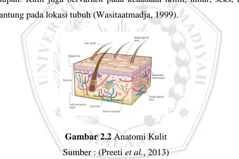 Gambar 2.2 Anatomi Kulit  Sumber : (Preeti et al., 2013) 
