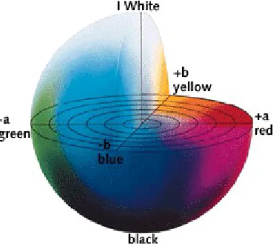 Gambar   3.2   Optel   Vision.   Definition   of   CIELab   Color   Space   [internet]