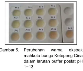 Gambar 5.  Perubahan  warna  ekstrak  mahkota bunga Ketepeng Cina  dalam  larutan buffer  posfat  pH  1−13 