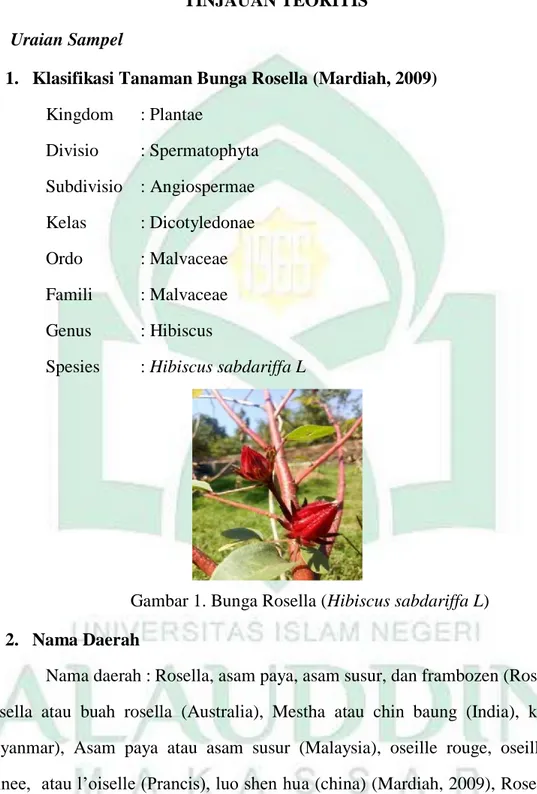 Gambar 1. Bunga Rosella (Hibiscus sabdariffa L)  2.  Nama Daerah 