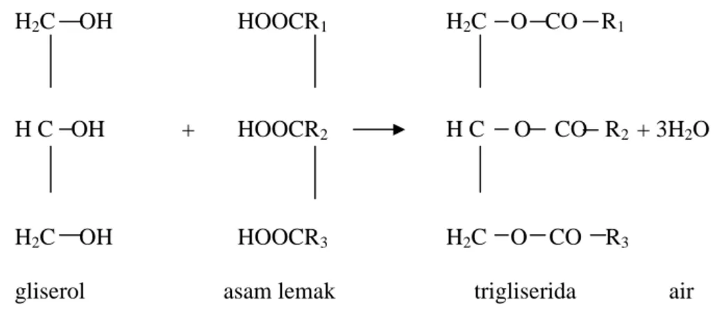 Gambar 2. Reaksi Pembentukan Lipid