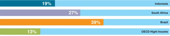Figure 2.7: Informal sectors in Brazil, South Africa, Indonesia and OECD High Income countries