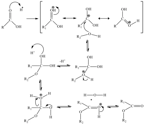 Gambar 1. Mekanisme reaksi esterifikasi asam lemak Dalam  proses  esterifikasi,  reaksi  dilakukan 