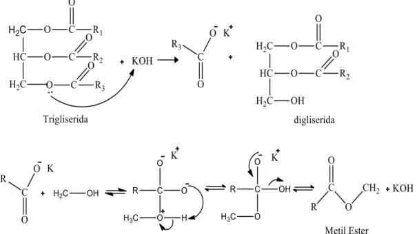 Gambar 2. Mekanisme reaksi transesterifikasi Proses  ini  dilakukan  dengan  menggunakan 
