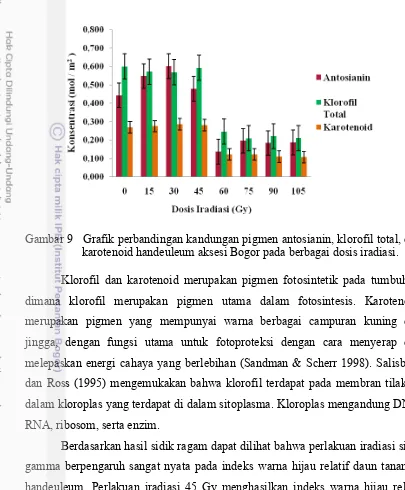 Gambar 9   Grafik perbandingan kandungan pigmen antosianin, klorofil total, dan 