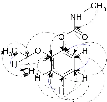 Gambar 10.Korelasi HMBC senyawa fenol-2-(1-metiletoksi)-metilkarbamat
