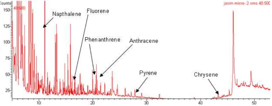 Fig 1. A total ion chromatogram of polycyclic aromatic hydrocarbons standards (PAHs). Column: VF-5 (l