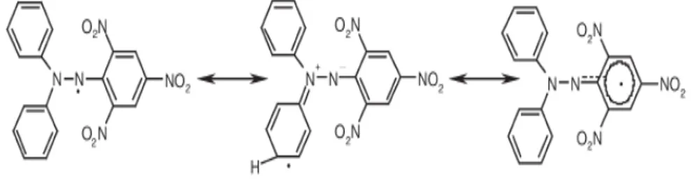 Gambar 2.3  Struktur kimia DPPH (Molyneux,2004) 