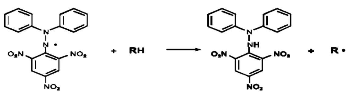 Gambar 2.5  Reaksi antara DPPH dengan senyawa antioksidan (Molyneux, 2004). 