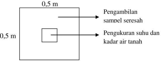 Gambar 2. Titik sampel seresah. 