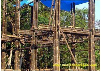 Gambar 1. Sambungan bambu untuk bangunan bertingkat (sumber : 