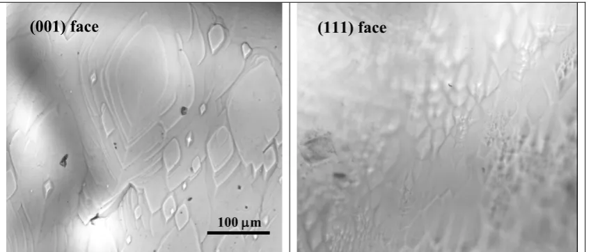 Fig. 6: Ex situ optical microscopy image of birth and spread observed on the (001) and (111) face at approximately relative supersaturation of 0.75CONCLUSION11