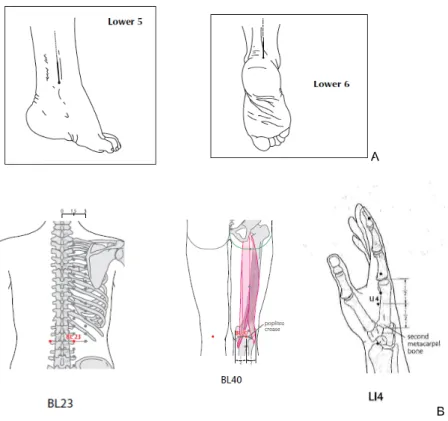 Gambar 1. Titik Akupunktur yang Digunakan pada Kedua Kelompok A.  WAA area 5 dan area 6 pergelangan kaki