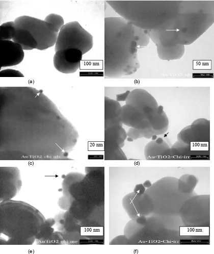 Fig 7. TEM images of chi-TiO2 and chitosan-coated TiO2-Au prepared with various methods, (a)  TiO2    (b) TiO2-Au-nb   (c) TiO-chi-Au-nb(d) TiO-chi-Au-ir (e) TiO-chi-Au-me (f) Crystalline gold on the surface of chitosan coated 