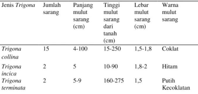 Tabel 2.  Karakteristik Sarang Trigona spp. 