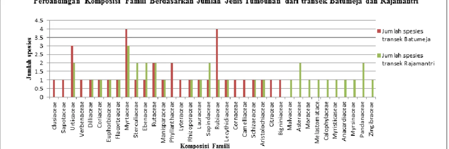 Gambar 1 Diagram Perbandingan Komposisi Family Berdasarkan Jumlah Jenis Tumbuhan  dari Transek Batumeja dan  Rajamantri Pananjung Pangandaran