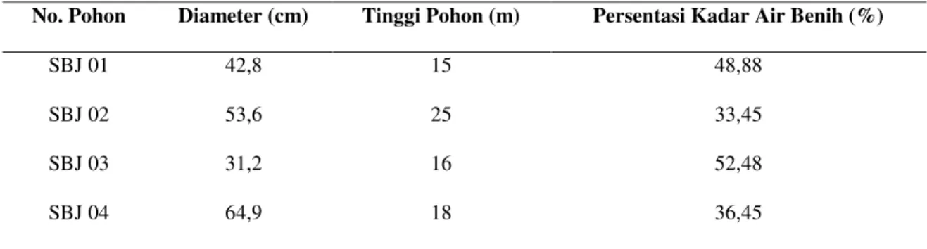 Tabel 4.  Perbandingan Antara Ukuran Pohon Induk dengan Persentasi Kadar air Benih 
