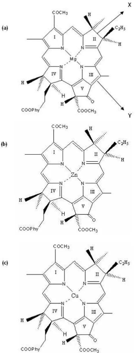Gambar 1. Struktur kimia (a)  Mg-BChl a, (b) Zn-BChl a, (c) Cu-BChl a