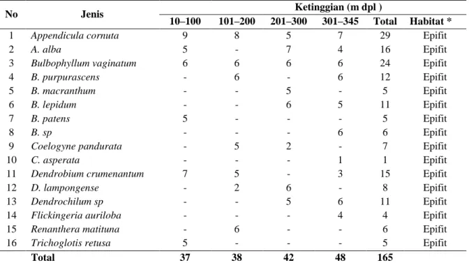 Tabel  1.  Jumlah  individu  (N)  jenis-jenis  anggrek  alam  yang  terdapat  di  Bukit  Wangkang (Disajikan Per Ketinggian m dpl) (The number of individuals  (N) natural orchid types found in bukit wangkang)