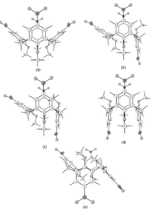 Figure 2. Conformations of p-(nitro)methoxycalix[4]arene 1: (a) cone, (b) partial cone (methoxy out), (c) partial cone (methoxy in), (d) 1,3-alternate and (e) 1,2-alternate
