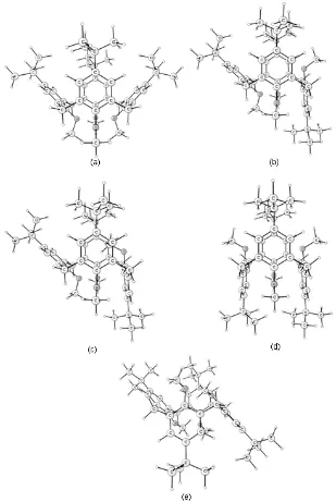 Figure 3. Conformations of p-(tert-butyl)methoxycalix[4]arene: (a) cone, (b) partial cone (methoxy out), (c) partial cone (methoxy in), (d) 1,3-alternate and (e) 1,2-alternate