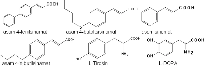 Gambar 7. Perbandingan struktur senyawa uji dengan substrat reaksi enzimatik tirosinase