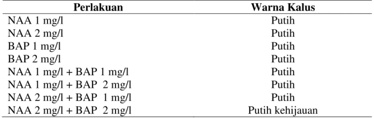 Tabel  2.  Pengaruh  beberapa  konsentrasi  NAA,  BAP  dan  kombinasinya  terhadap  warna kalus eksplan Sansevieria macrophylla  